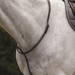 Collegiate Raised Standing Horse Martingale II, Brown, Cob