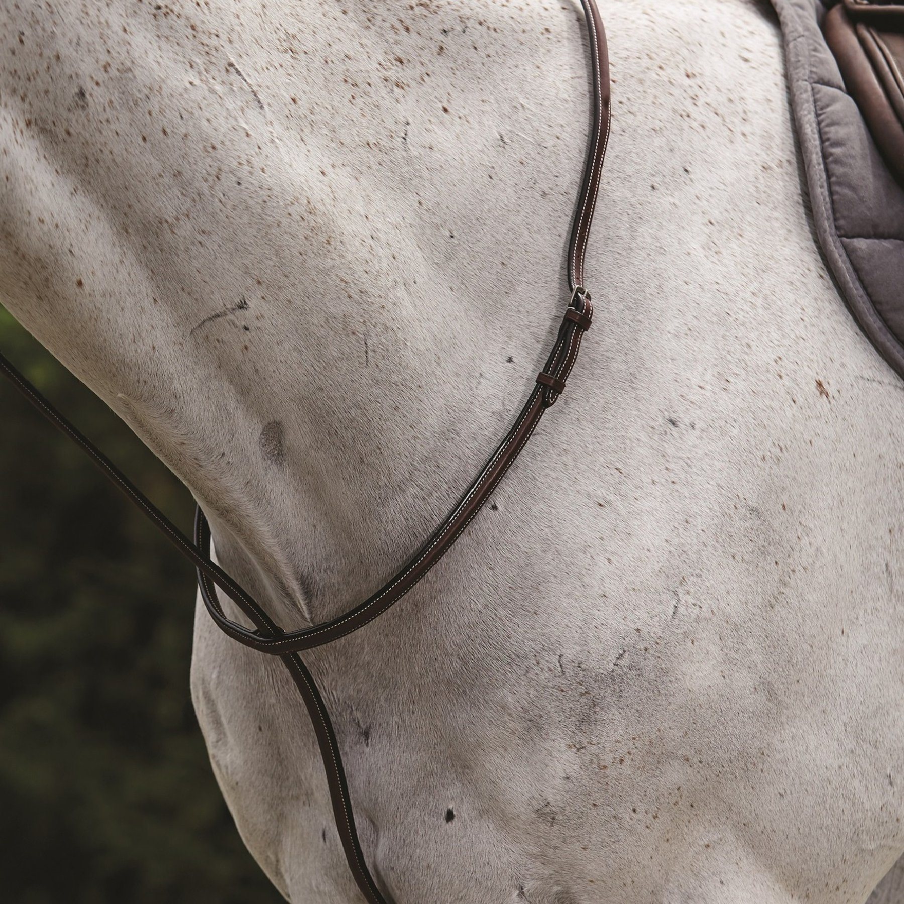 Collegiate Raised Standing Horse Martingale II, Brown, Cob