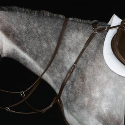Collegiate Hunter Horse Breast Plate IV, Brown, Cob
