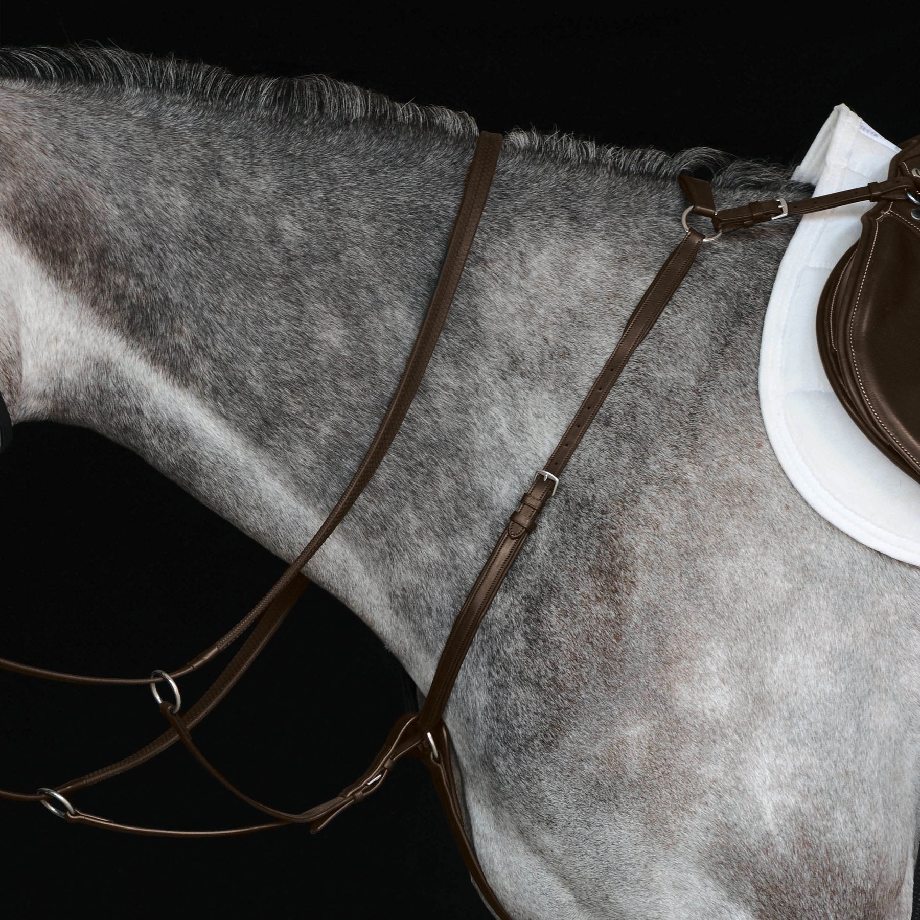 Collegiate Hunter Horse Breast Plate IV, Brown, Warmblood