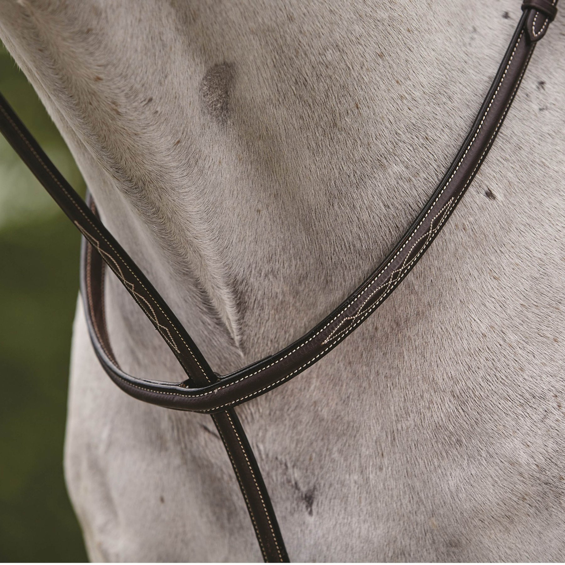 Collegiate Fancy Stitched Raised Standing Horse Martingale II, Brown, Warmblood
