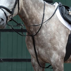 Collegiate Essential Plain Flat Running Horse Martingale, Black, Cob