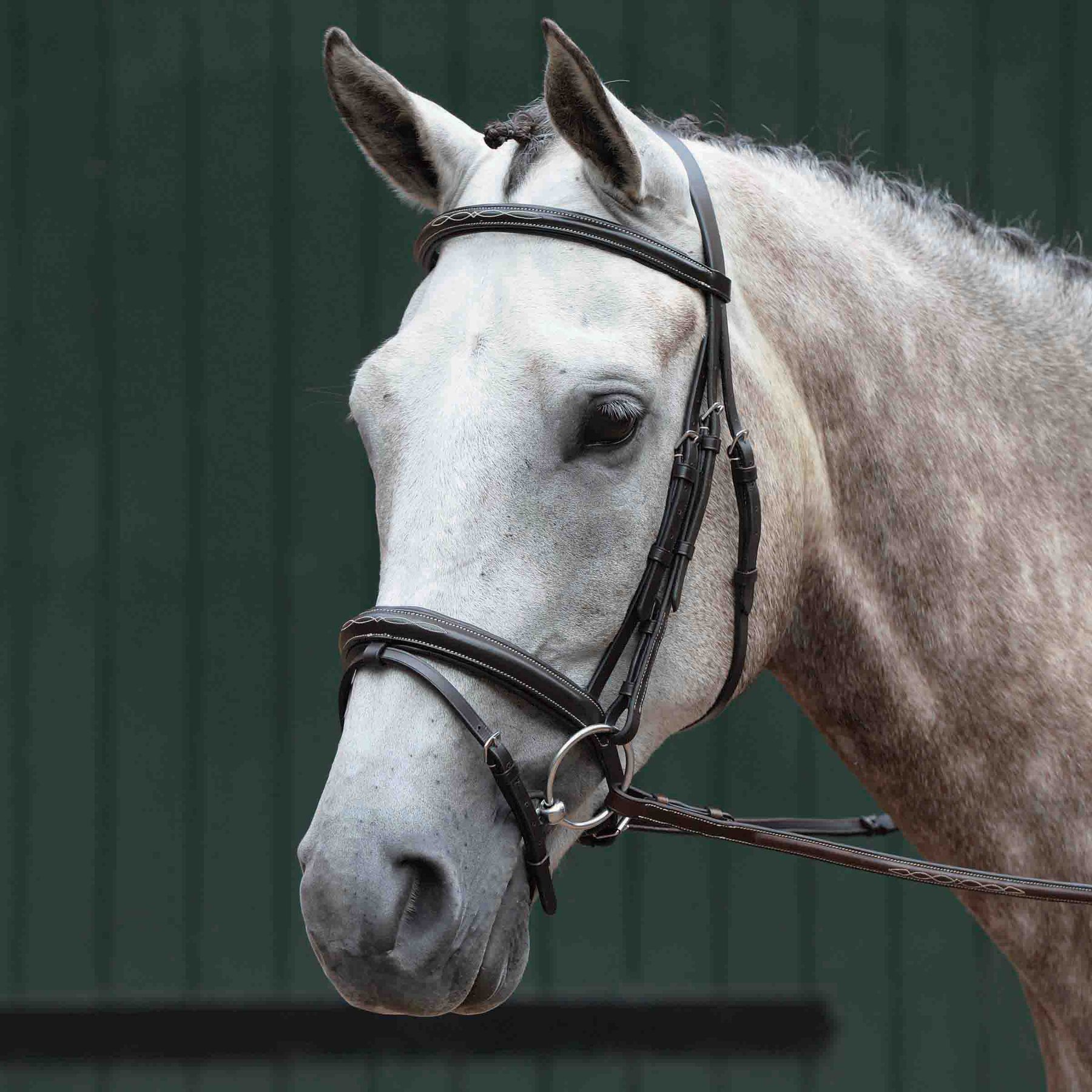 Collegiate Essential Padded Raised Fancy Stitched Flash Horse Bridle, Brown, Warmblood