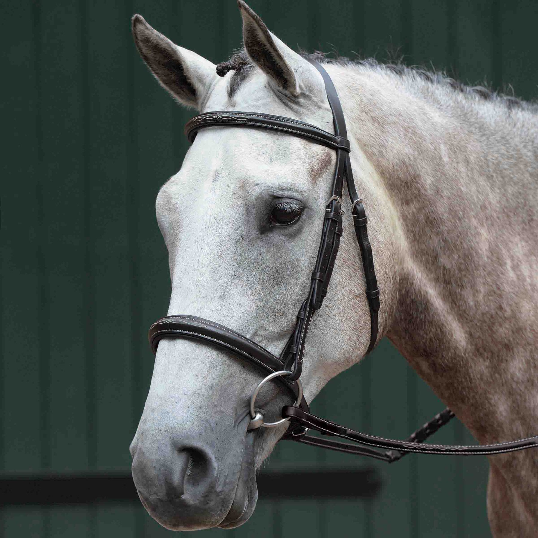 Collegiate Essential Padded Raised Fancy Stitched Cavesson Horse Bridle, Brown, Pony