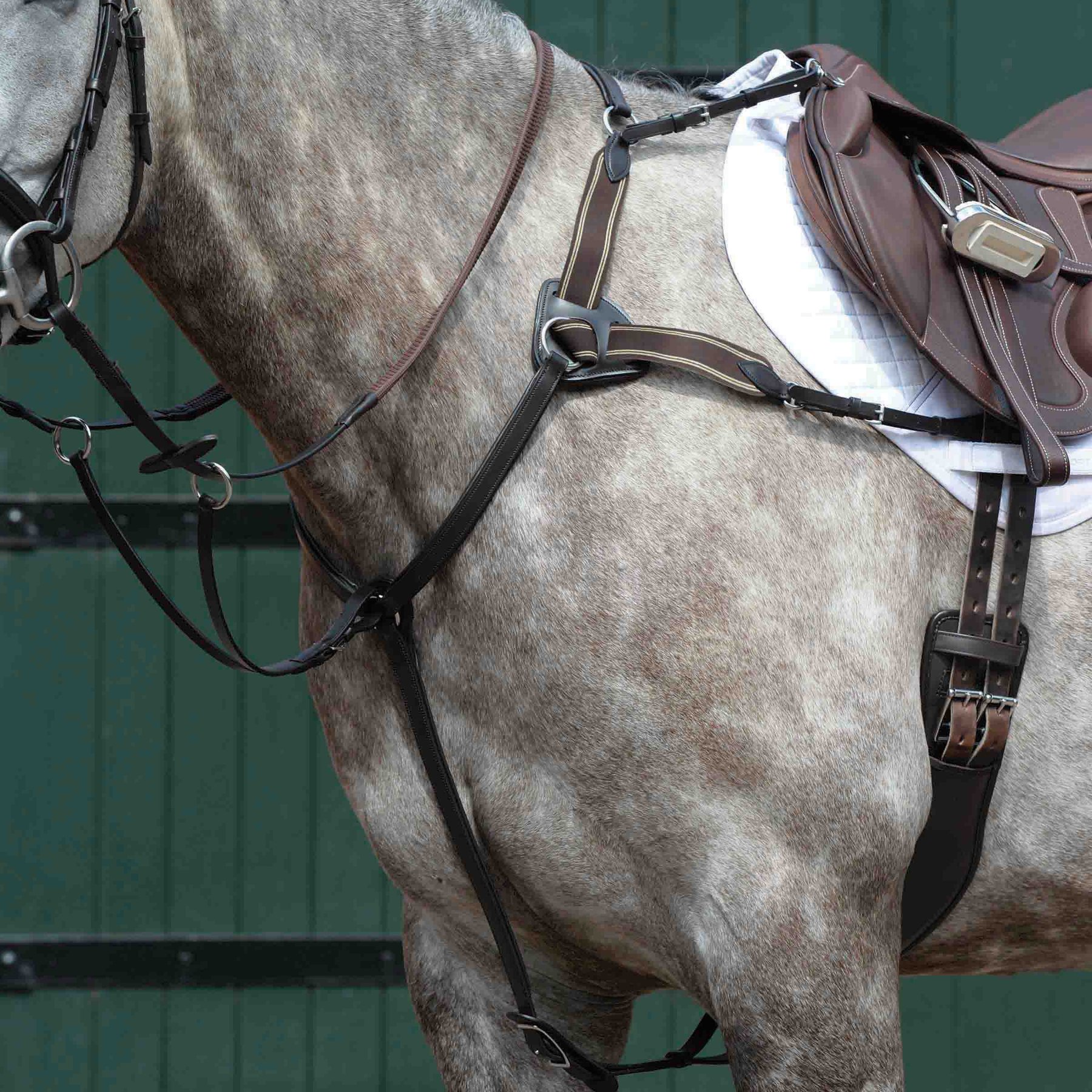 Collegiate Essential 5-Point Horse Breastplate, Brown, Full