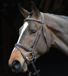 Collegiate Comfort Crown Padded Raised Flash Horse Bridle, Brown, Full