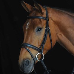 Collegiate Comfort Crown Padded Raised Flash Horse Bridle, Black, Cob