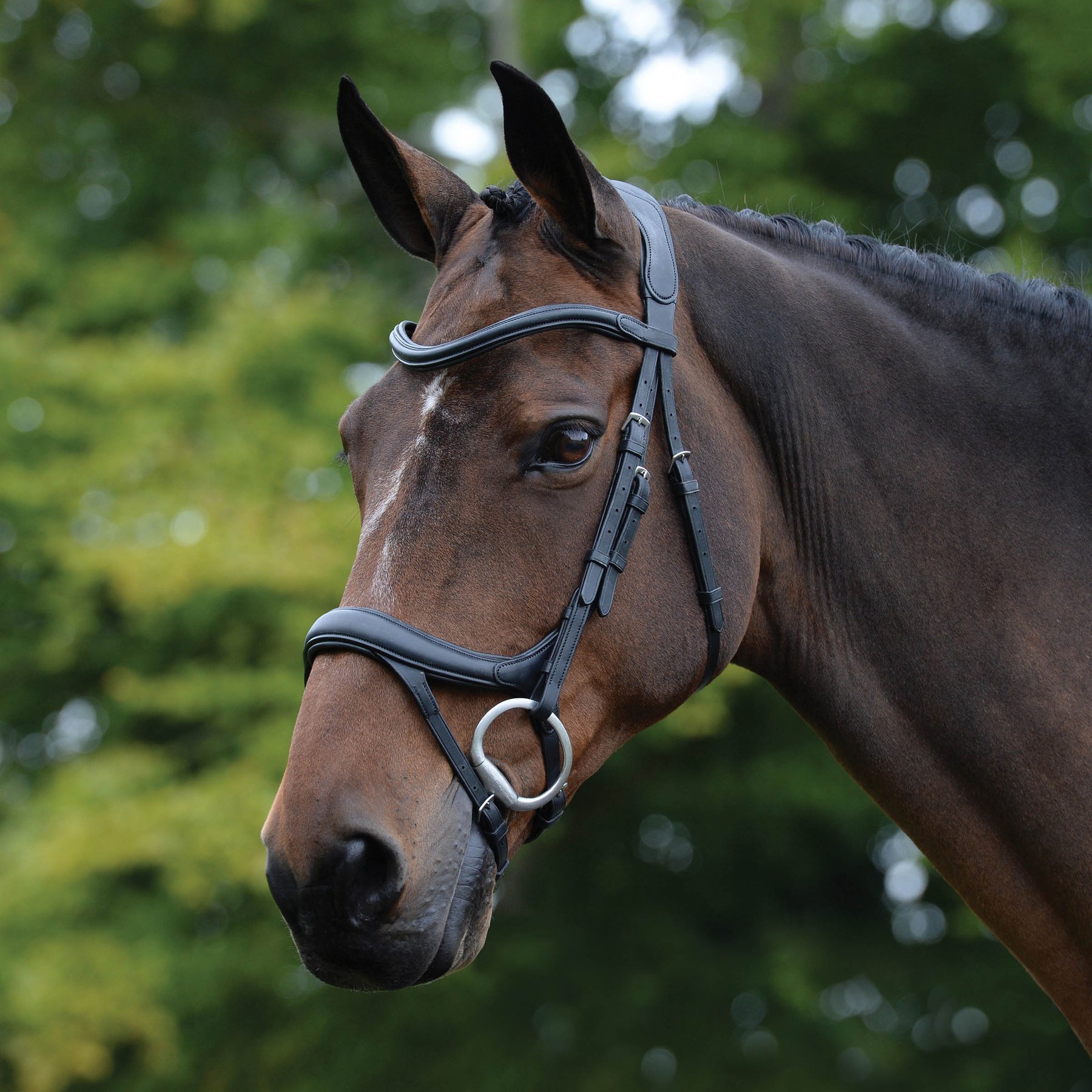Collegiate ComFiTec Vogue Anatomical Horse Bridle, Black, Full