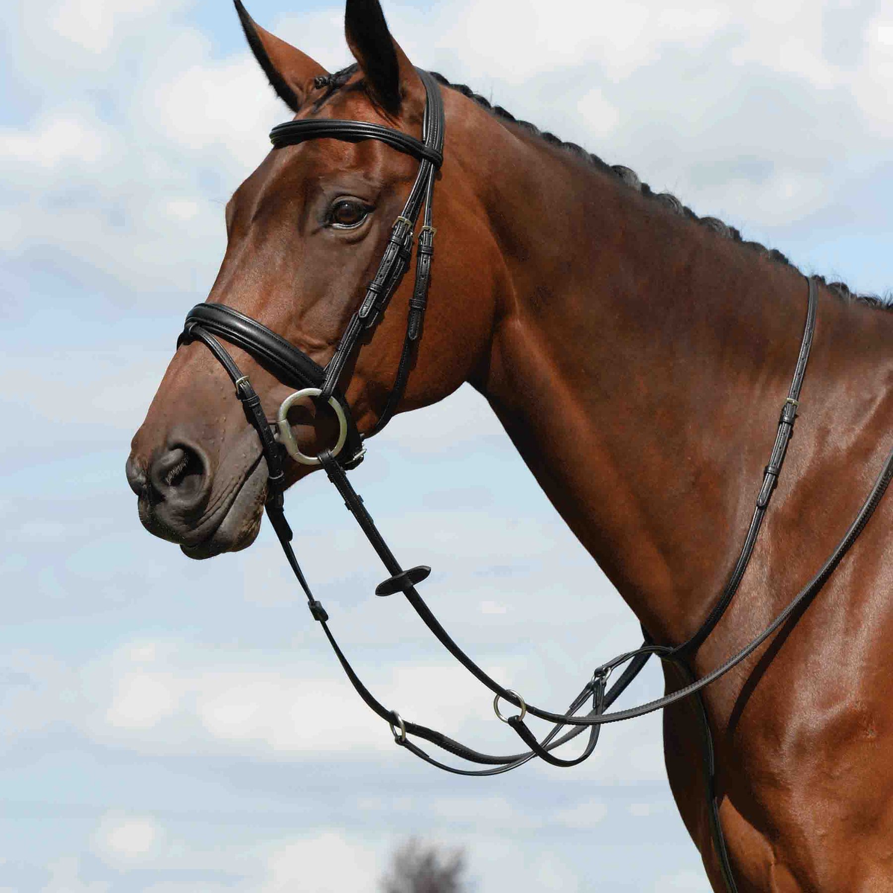 Collegiate Syntovia+ Plain Flat Running Horse Martingale, Black, Full