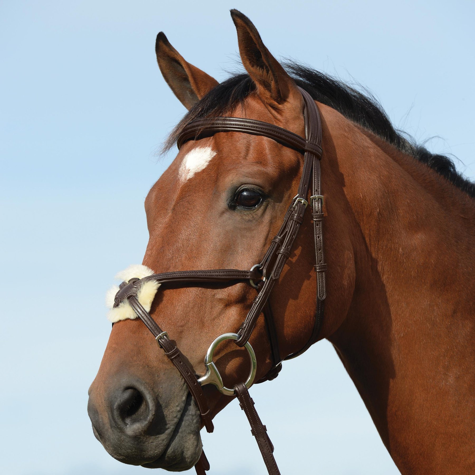 Collegiate Syntovia+ Padded Raised Figure 8 Horse Bridle, Brown, Full