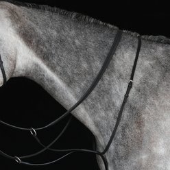 Collegiate Running Horse Martingale IV, Black, Cob