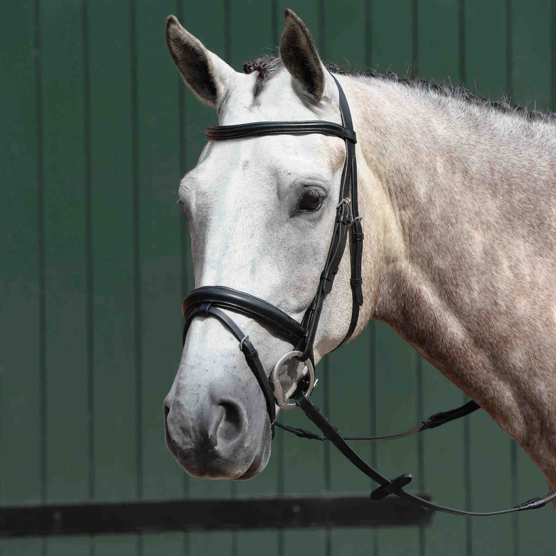 Collegiate Essential Padded Raised Flash Horse Bridle, Black, Pony