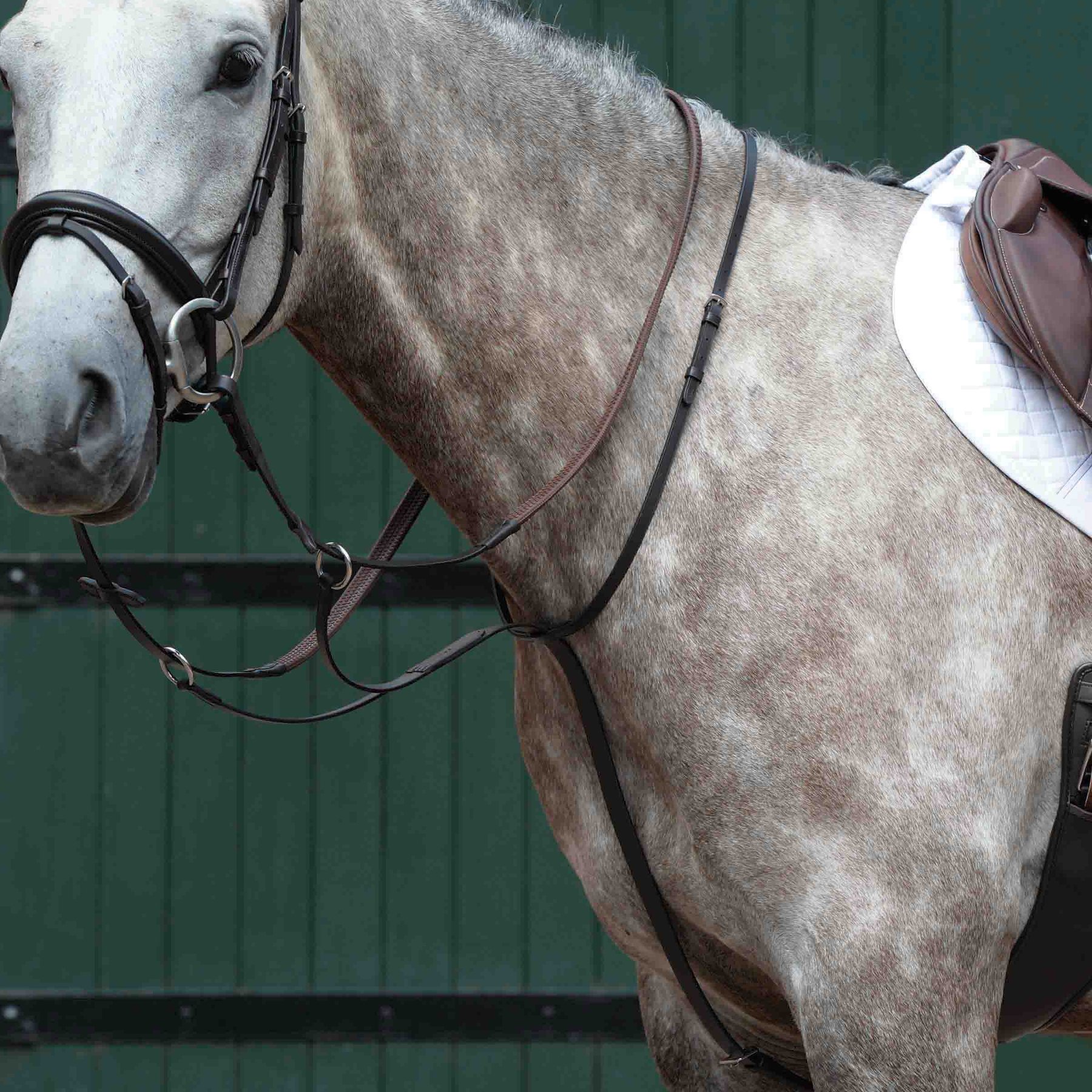 Collegiate Essential Plain Flat Running Horse Martingale, Brown, Warmblood