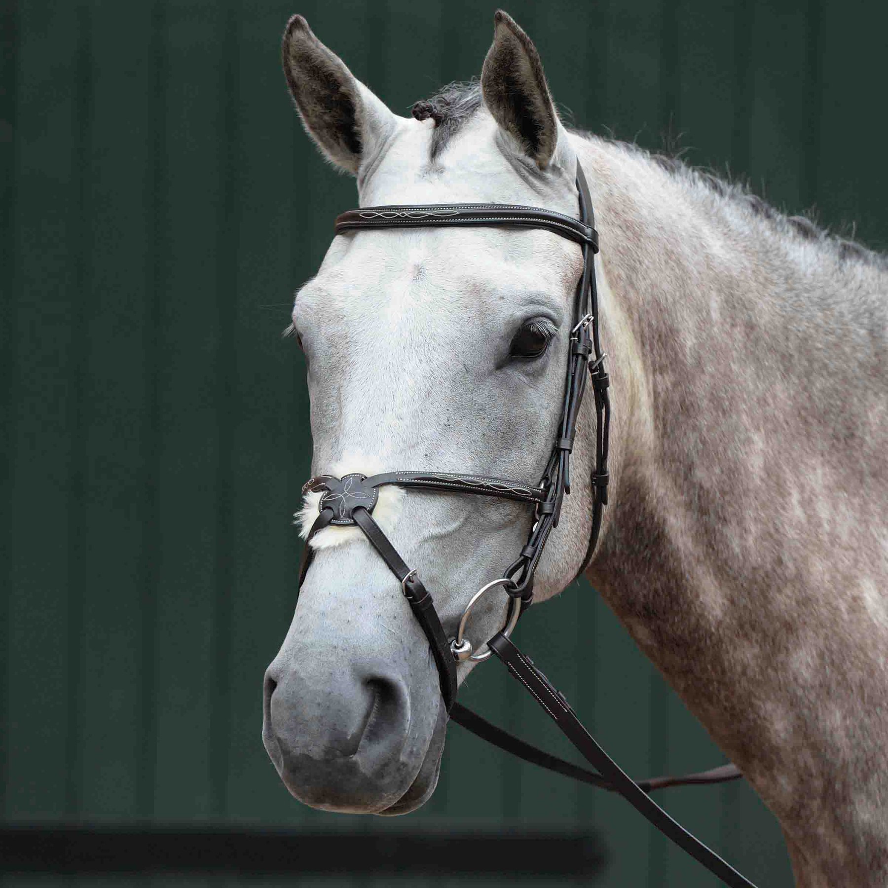 Collegiate Essential Padded Raised Fancy Stitched Figure 8 Horse Bridle, Brown, Full