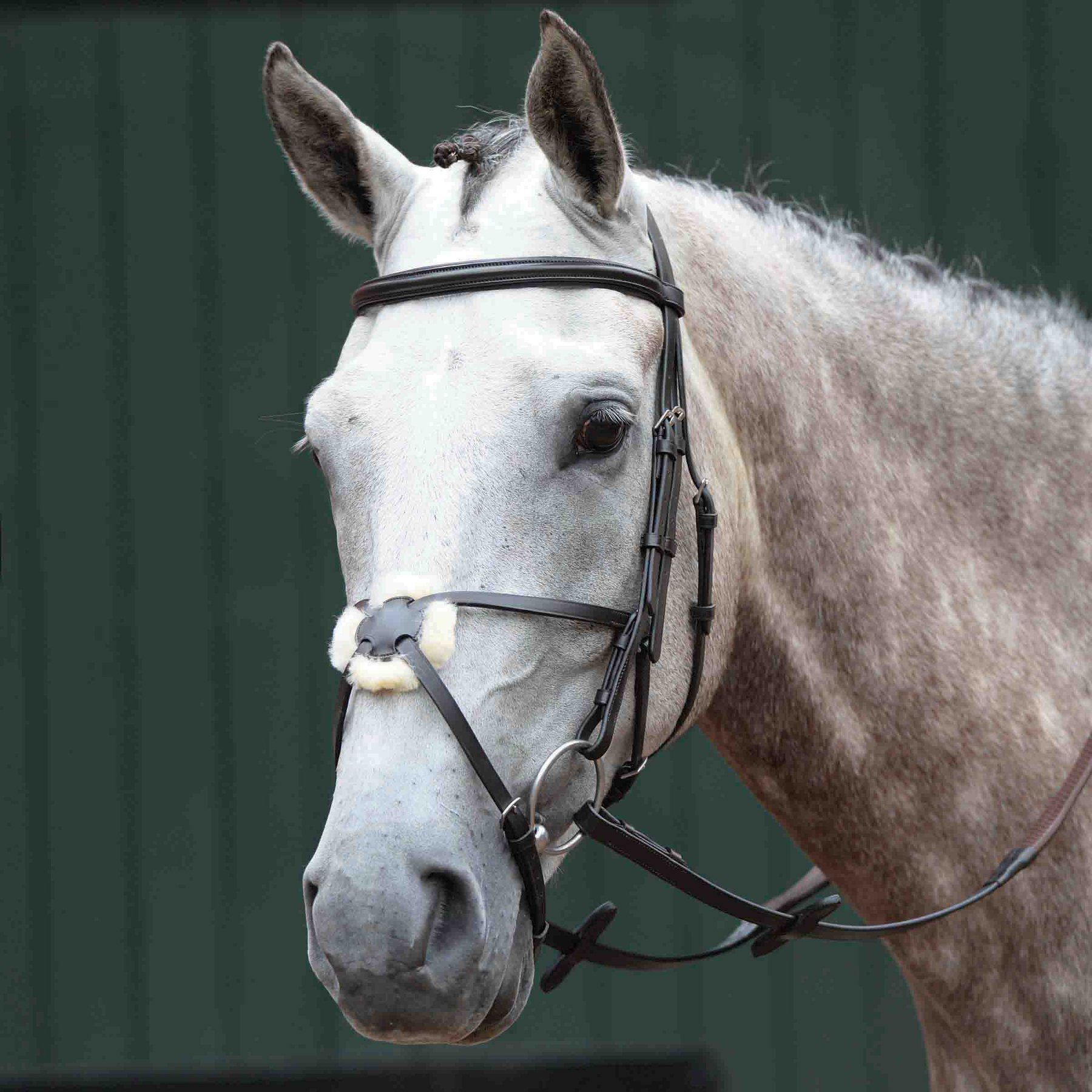 Collegiate Essential Padded Raised Figure 8 Horse Bridle, Brown, Cob