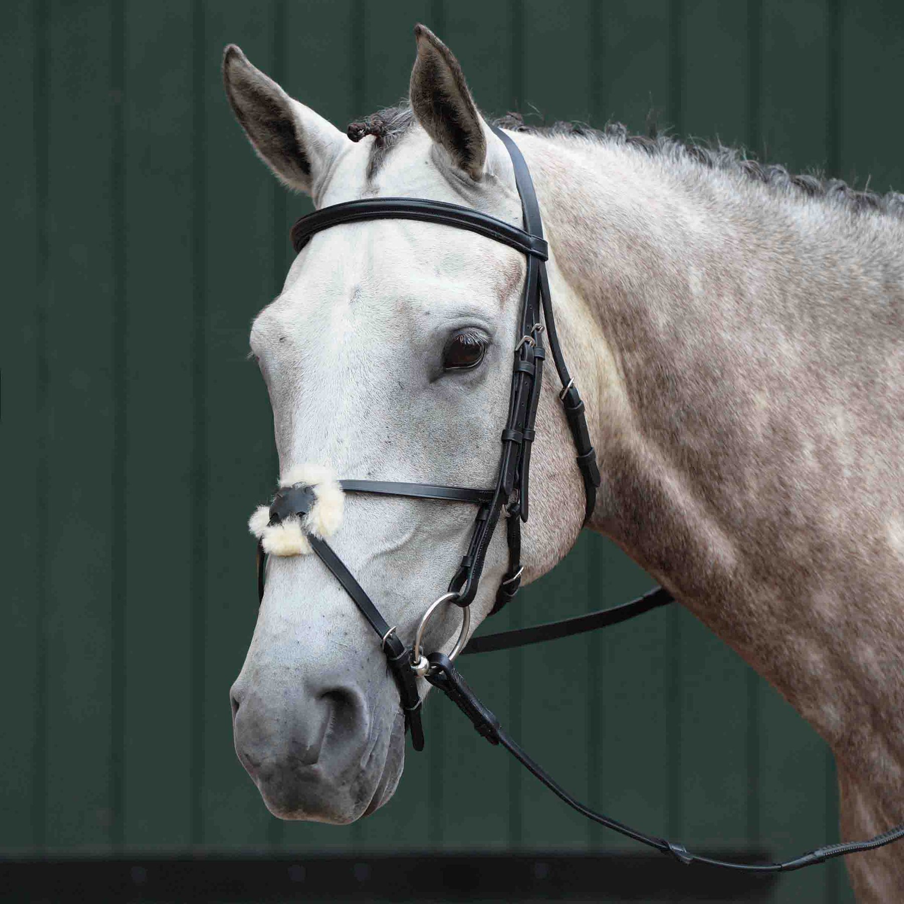 Collegiate Essential Padded Raised Figure 8 Horse Bridle, Black, Cob