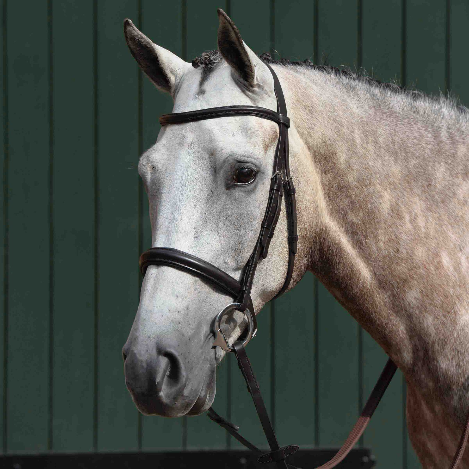 Collegiate Essential Padded Raised Cavesson Horse Bridle, Brown, Pony