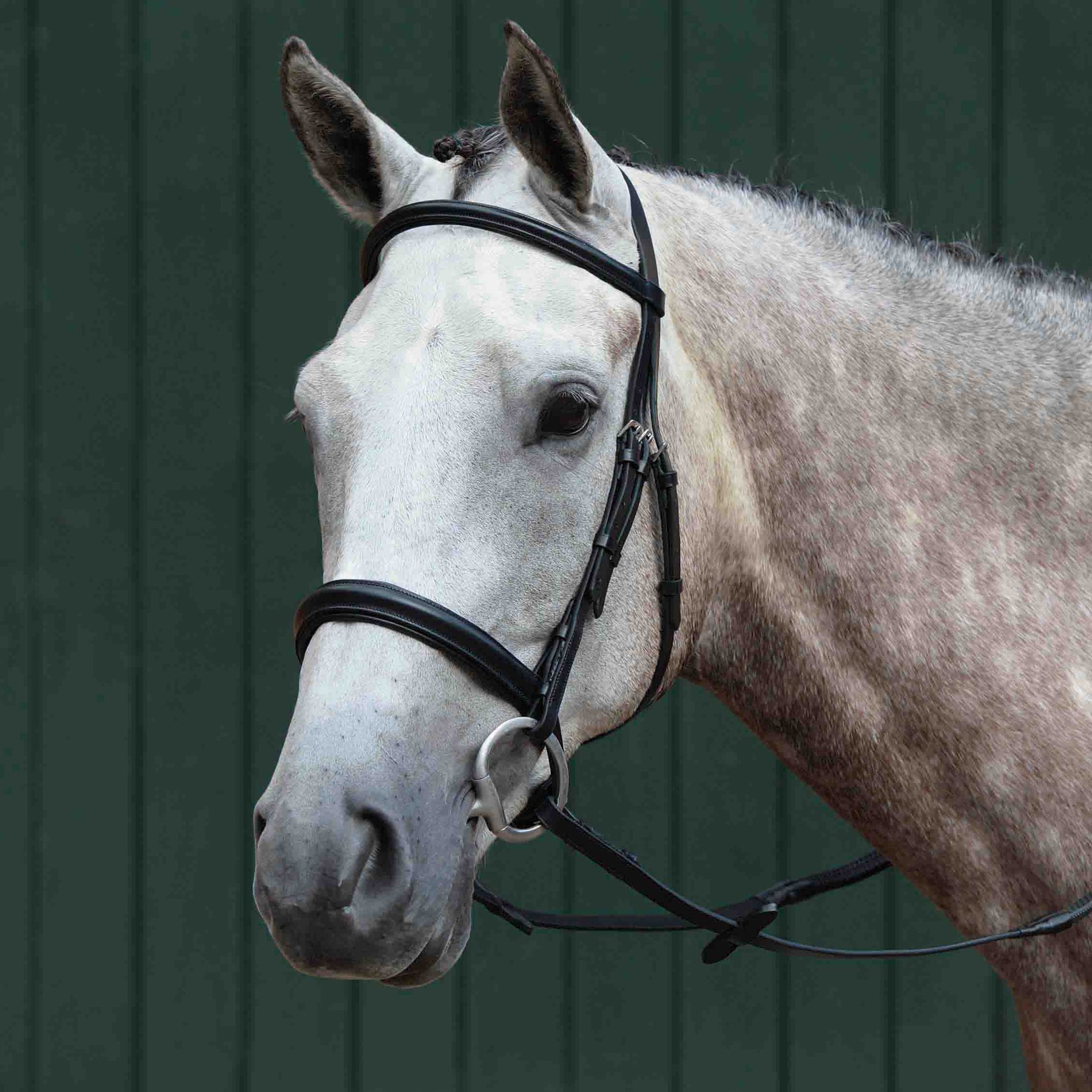 Collegiate Essential Padded Raised Cavesson Horse Bridle, Black, Pony