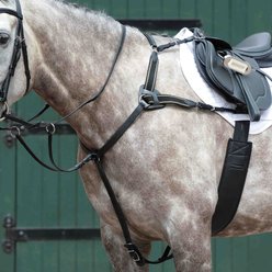 Collegiate Essential 5-Point Horse Breastplate, Black, Warmblood