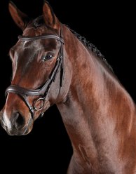 Collegiate ComFiTec Vogue Anatomical Horse Bridle, Brown, Warmblood