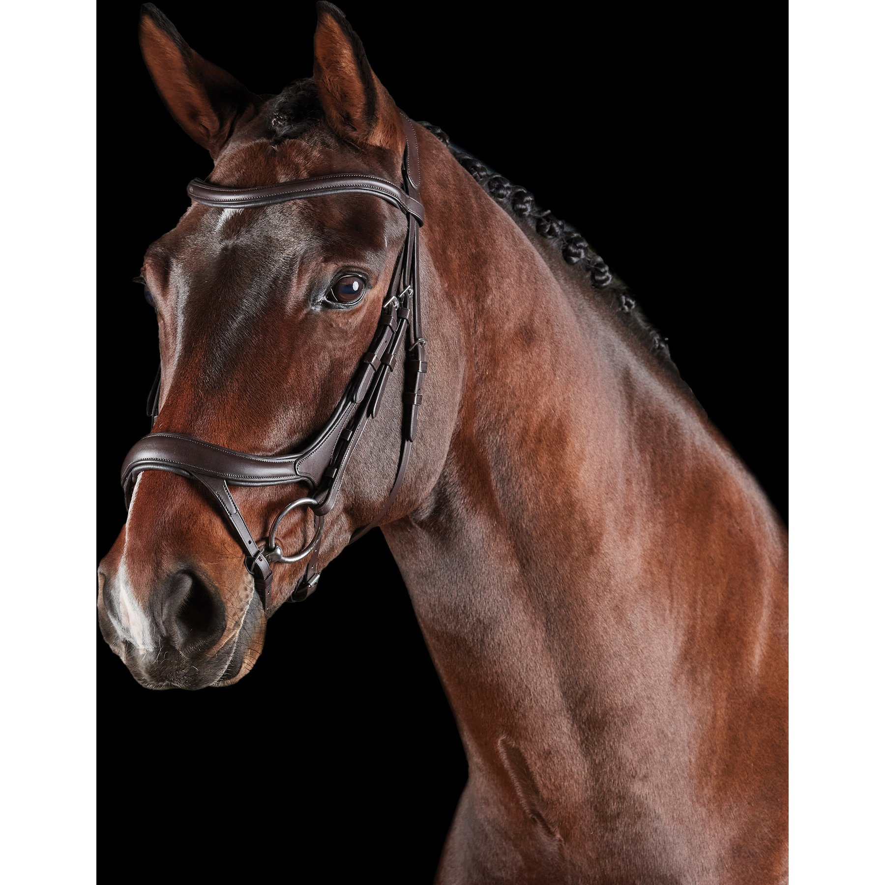 Collegiate ComFiTec Vogue Anatomical Horse Bridle, Brown, Cob