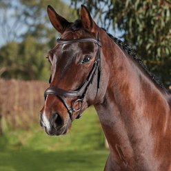 Collegiate ComFiTec Vogue Anatomical Horse Bridle, Brown, Warmblood slide 2 of 2