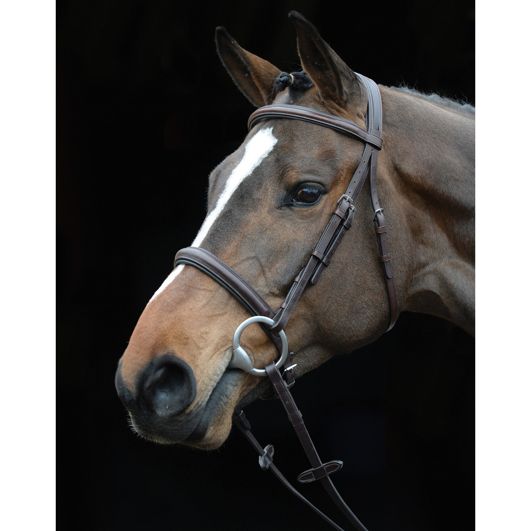 Collegiate Comfort Crown Padded Raised Cavesson Horse Bridle, Brown, Full