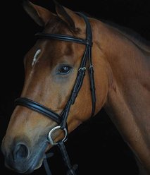 Collegiate Comfort Crown Padded Raised Cavesson Horse Bridle, Black, Cob