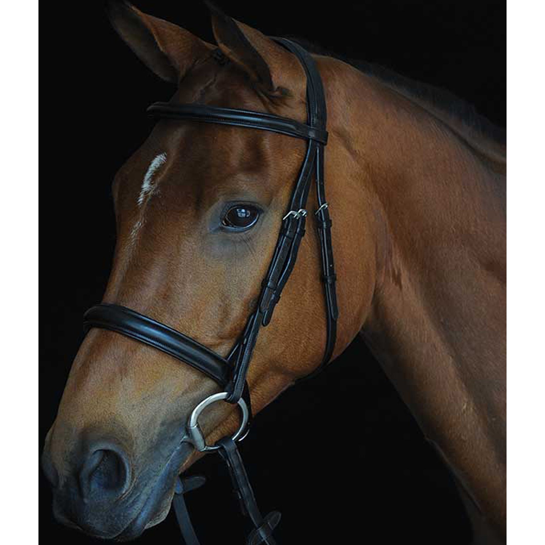 Collegiate Comfort Crown Padded Raised Cavesson Horse Bridle, Black, Full