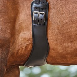 Collegiate Anatomic Horse Dressage Girth, Black, 22-in slide 2 of 2