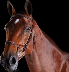 Collegiate ComFiTec Fancy Stitch Horse Bridle, Brown, Full