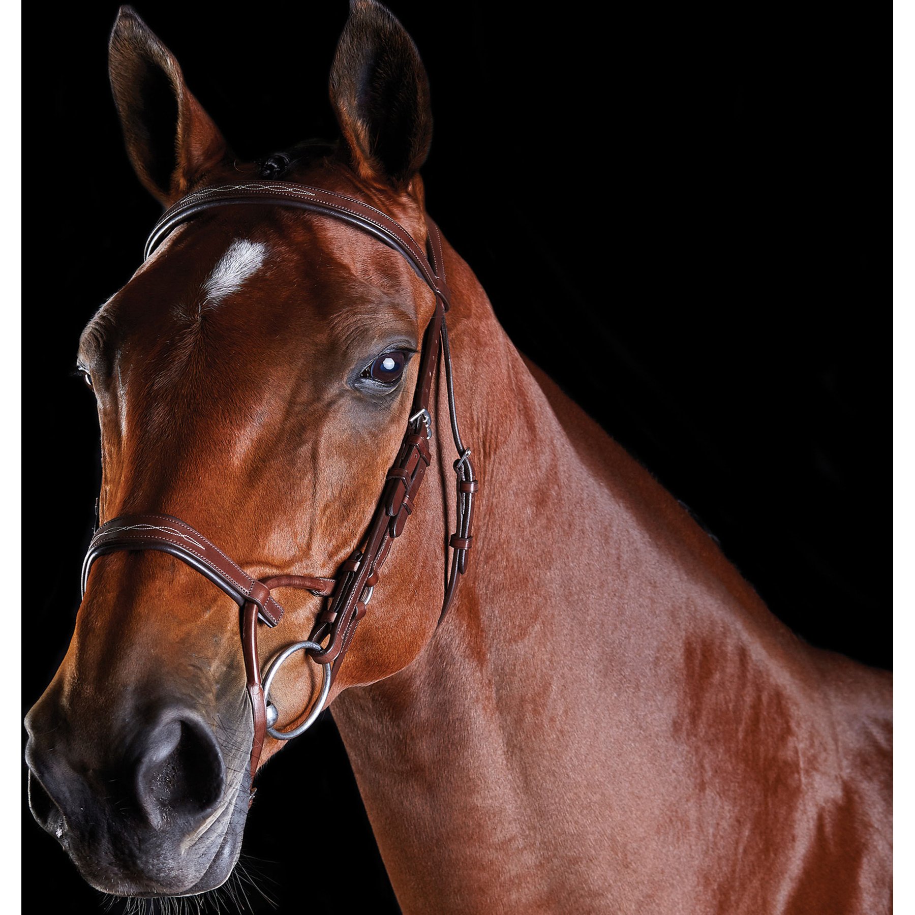 Collegiate ComFiTec Fancy Stitch Horse Bridle, Brown, Warmblood