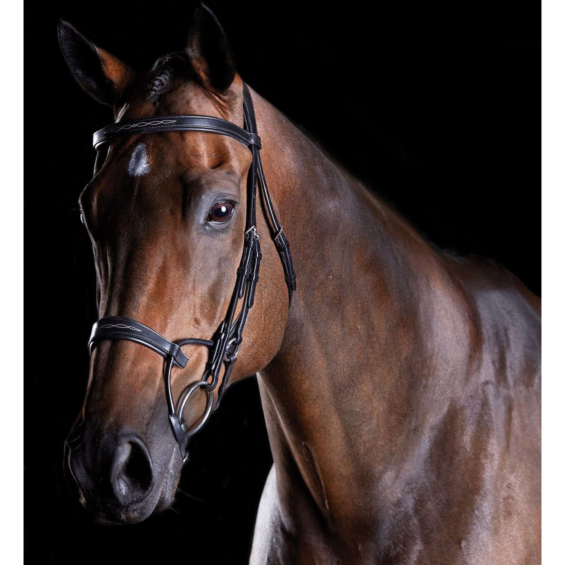 Collegiate ComFiTec Fancy Stitch Horse Bridle, Black, Cob