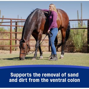 Farnam SandClear Natural Psyllium Fiber Crumbles Apple/Molasses Flavor Horse Supplement, 10-lb bucket