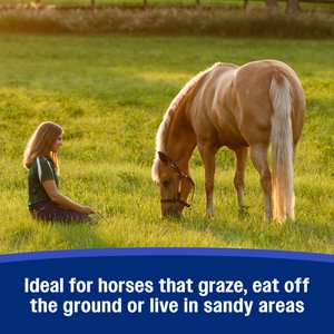 Farnam SandClear Natural Psyllium Fiber Crumbles Apple/Molasses Flavor Horse Supplement, 10-lb bucket