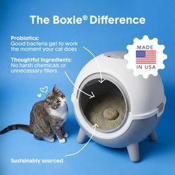 Boxiecat BOT Self-Cleaning Probiotic Clumping Clay Kitty Cat Litter, 16-lb bag slide 2 of 6