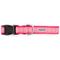 Show in main carousel: The Worthy Dog Medallion Dog Collar, Pink, X-Small: 5 to 11-in neck, 1/2-in wide slide 3 of 3
