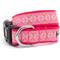 Show in main carousel: The Worthy Dog Medallion Dog Collar, Pink, X-Small: 5 to 11-in neck, 1/2-in wide slide 1 of 3