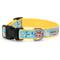Show in main carousel: The Worthy Dog Pool Party Dog Collar, Turquoise, Small: 8 to 14-in neck, 5/8-in wide slide 2 of 3