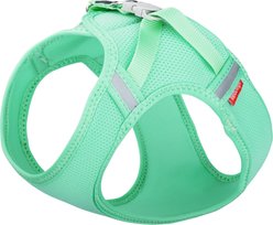 Red Dingo Adjustable Cat Mesh Harness, Pastel Green, Large: 15 to 17-in chest