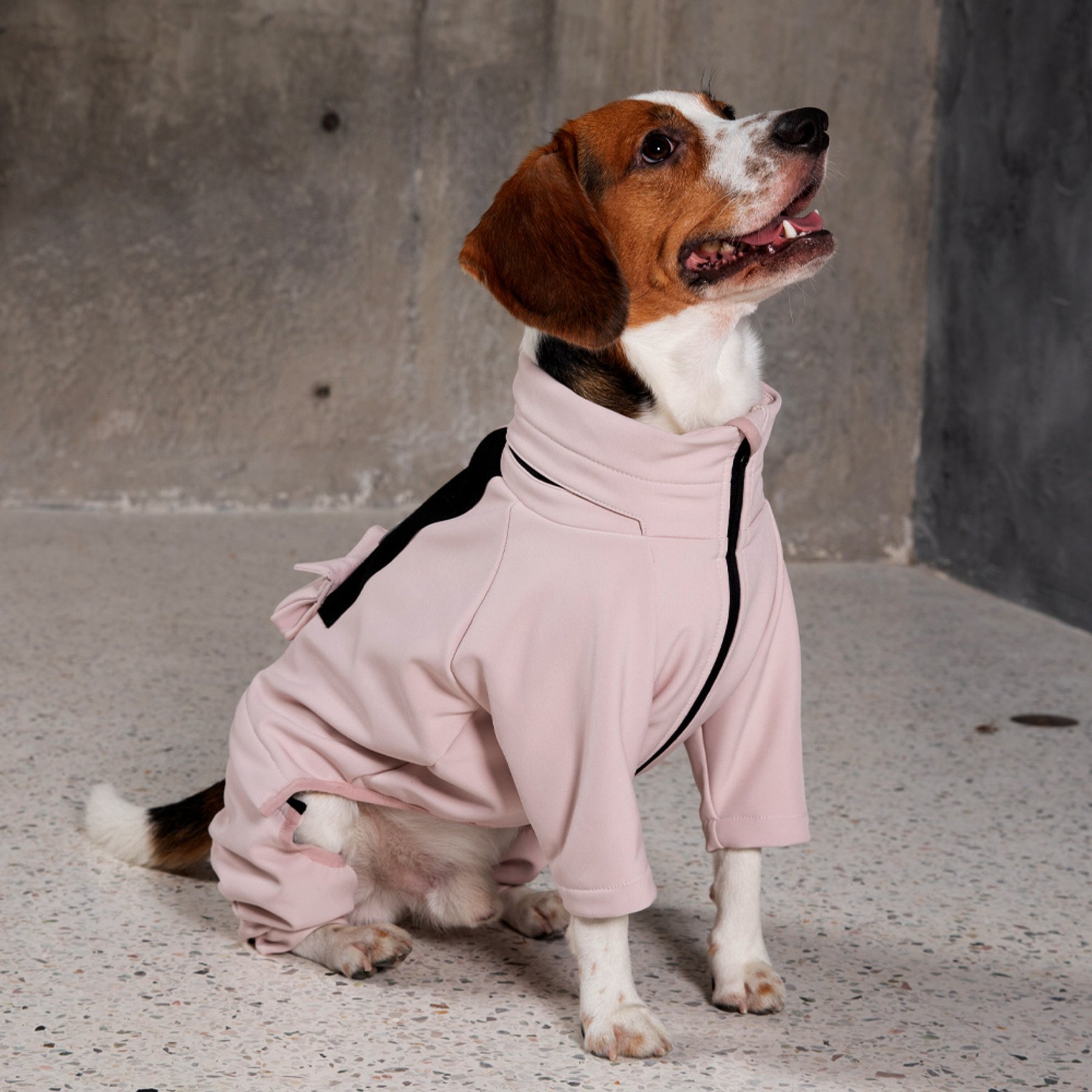 Pebot Softshell Overall Dog & Cat Jacket, Dusty Pink, 16