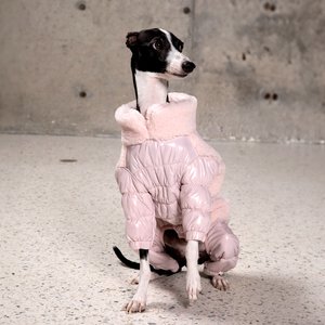 Pebot Sugarloaf Sherpa Dog & Cat Onesie, Dusty Pink, 8