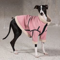 Pebot Koda "Kord" Dog & Cat Jacket Vest, Pink, 16