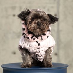 Pebot Poppy Reversible Dog & Cat Hooded Vest, Pink Cheetah, 16