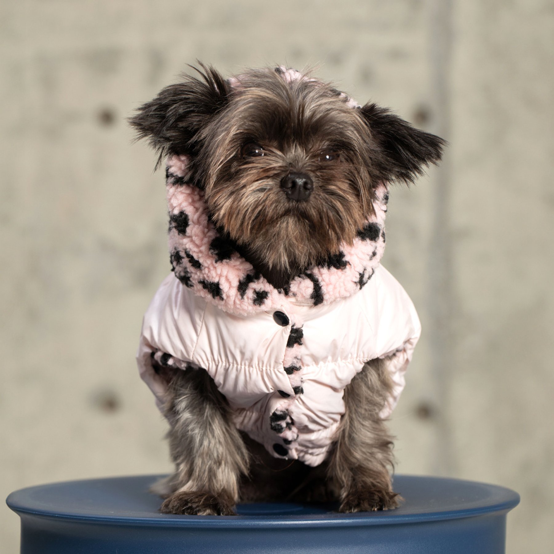 Pebot Poppy Reversible Dog & Cat Hooded Vest, Pink Cheetah, 12