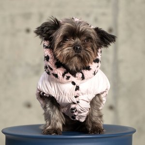 Pebot Poppy Reversible Dog & Cat Hooded Vest, Pink Cheetah, 8