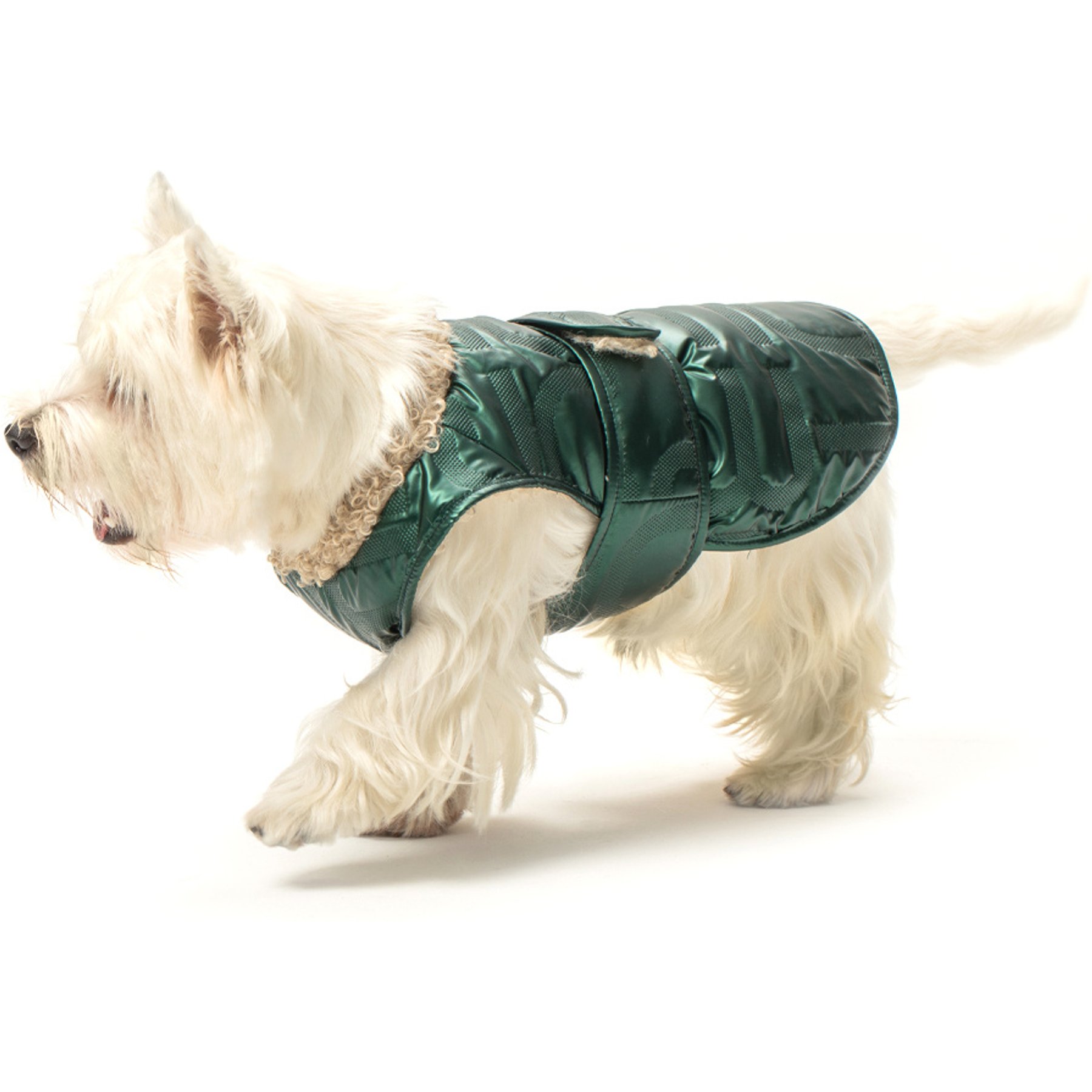 Pebot Avatar Reversible Sherpa Dog & Cat Winter Vest, Green / Tan, Small