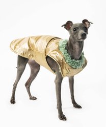 Pebot Avatar Reversible Sherpa Dog & Cat Winter Vest, Gold / Green, X-Small