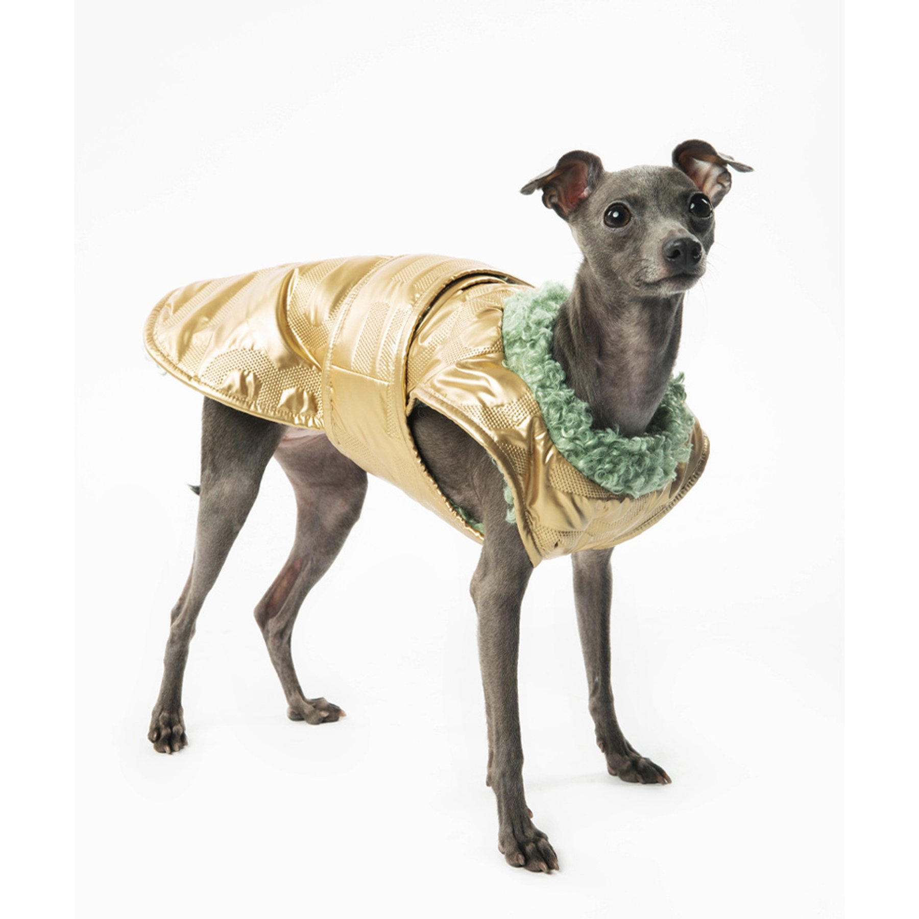 Pebot Avatar Reversible Sherpa Dog & Cat Winter Vest, Gold / Green, X-Large
