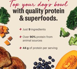 The Honest Kitchen Protein Plus+ Grain-Free Chicken Superfoods Dehydrated Dog Food Topper, 12-oz bag slide 2 of 7